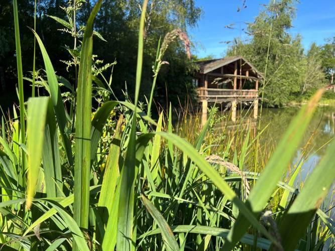 Le Domaine De La Vergnolle Roches (Creuse) Quarto foto